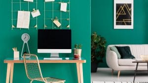 study design york